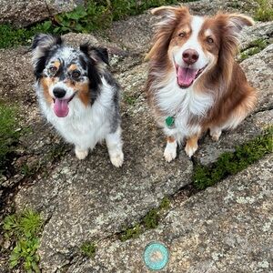 Meet your Posher, Mariah